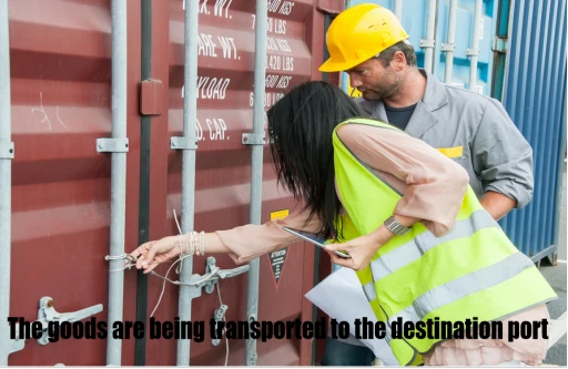 Project Logistics Experience Project Logistics Experience